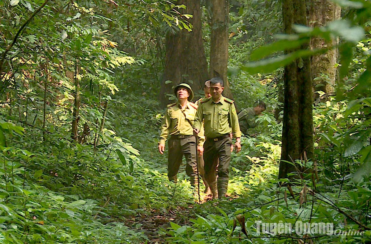 Giữ rừng ở Nậm Trang