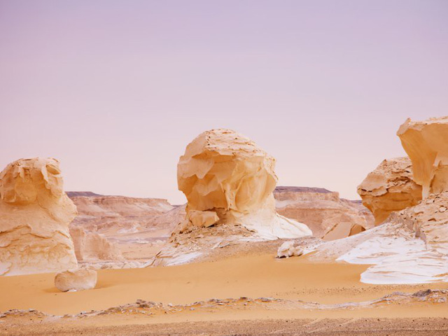 Giảm 10000 Mô hình lạc đà sa mạc diy dùng trang trí tiểu cảnh  tháng  22023  BeeCost