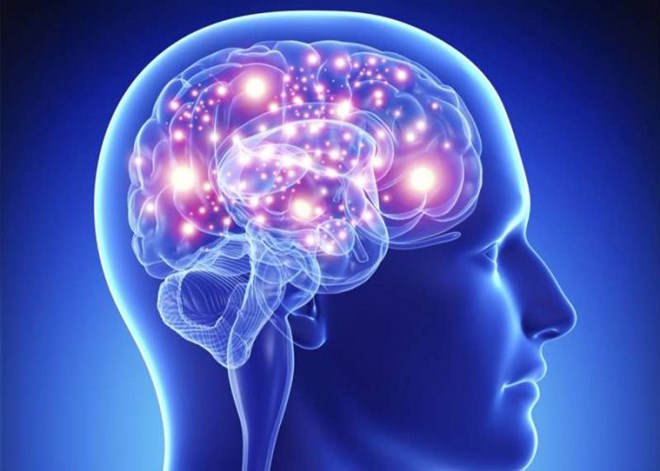 Não bộ người có thể sản sinh tế bào thần kinh mới tới tuổi 80