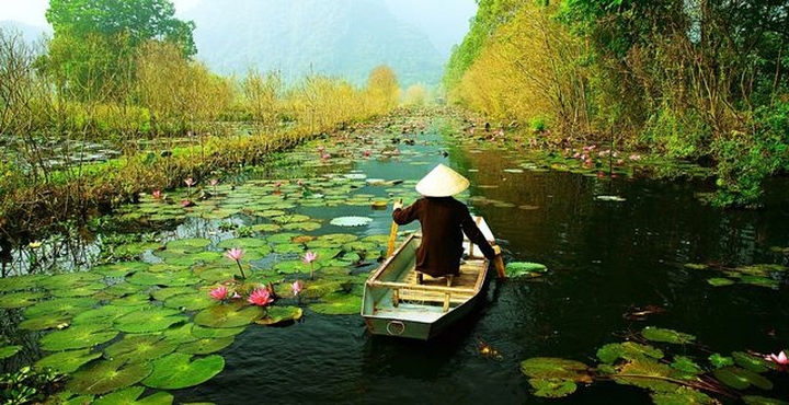 Hãy chiêm ngưỡng bức tranh tuyệt đẹp về phong cảnh Việt Nam, với những cánh đồng lúa bạt ngàn, con đường ven biển thơ mộng và những dãy núi đá trùng điệp. Đây là sự kết hợp hoàn hảo giữa thiên nhiên và văn hóa đậm nét của đất nước ta.