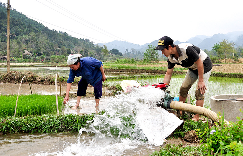 Lấy nước tưới vụ xuân hiệu quả