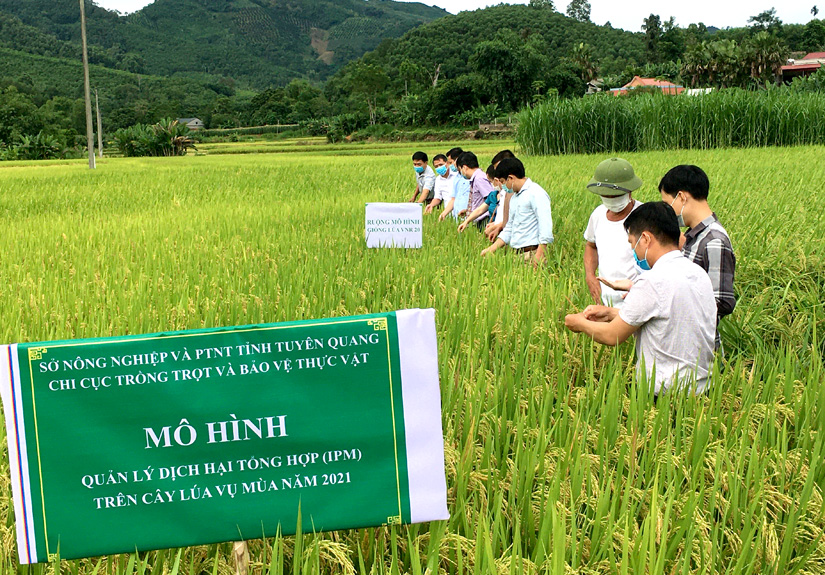 Một số mô hình VAC hiệu quả cao của Hội Làm vườn tỉnh Nghệ An  Hội Làm  vườn Việt Nam