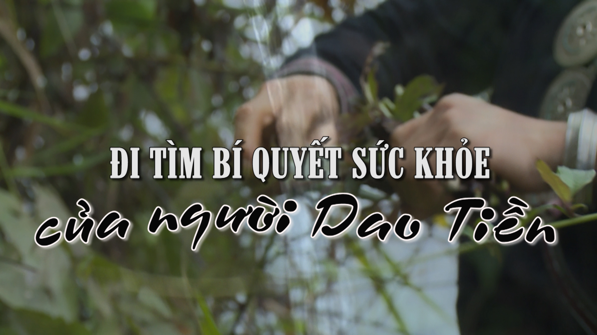 Cùng tìm hiểu câu chuyện về người Dao Tiền - một trong những dân tộc đặc biệt nhất của Việt Nam. Từ hình ảnh đời thường đến các tập tục truyền thống lâu đời, bạn sẽ được thấy sự bền vững của văn hoá này qua thời gian.