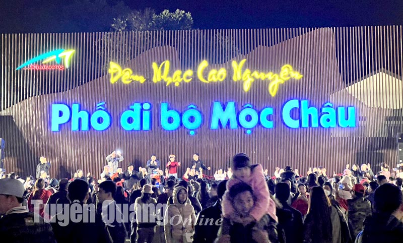 Phố đi bộ Mộc Châu xuân 2024 Phố đi bộ Mộc Châu xuân 2024